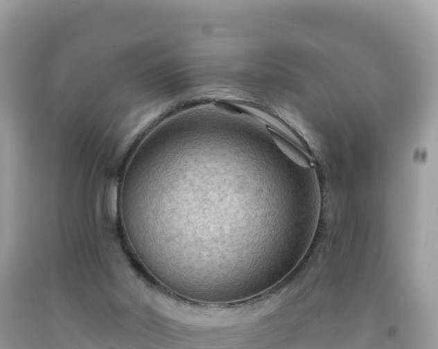 X0000092030014200709131629