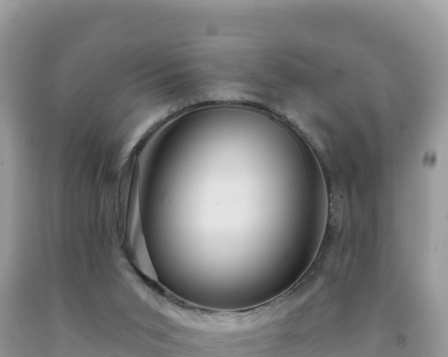 X0000092030015200709131629