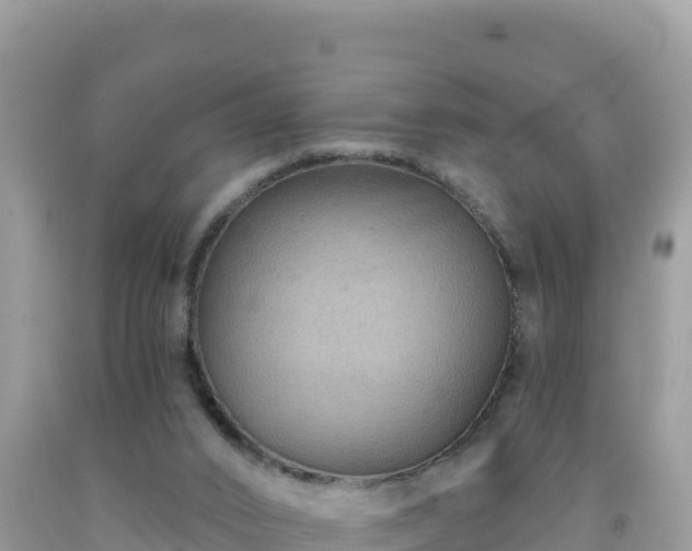 X0000092030016200709131629