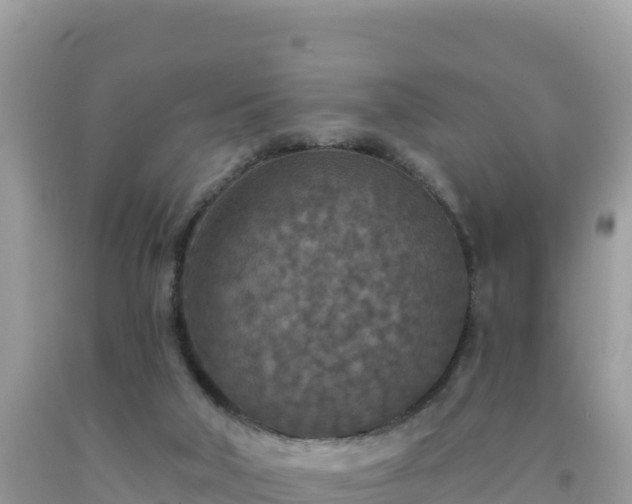 X0000092030018200709131629