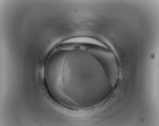 X0000092030019200709131629