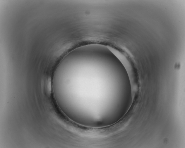 X0000092030020200709131629