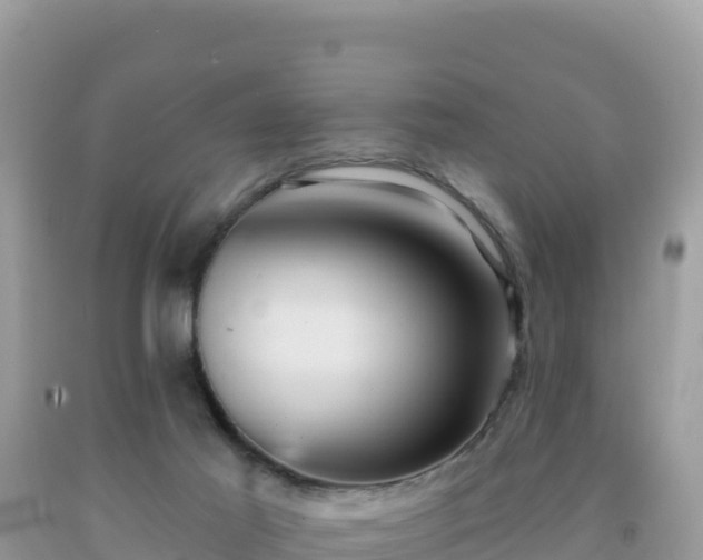 X0000092030021200709131629