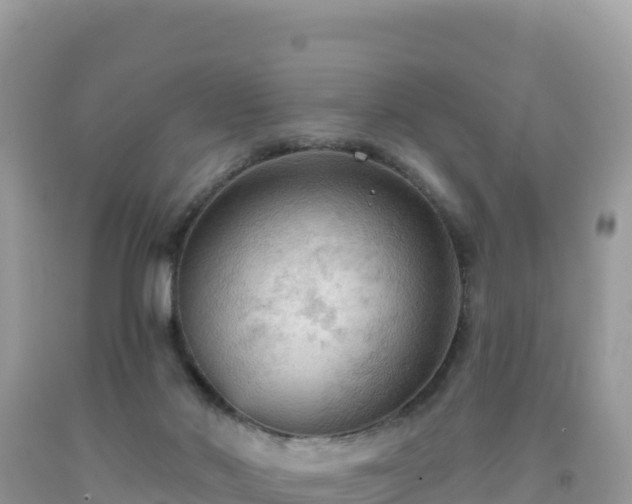 X0000092030022200709131629