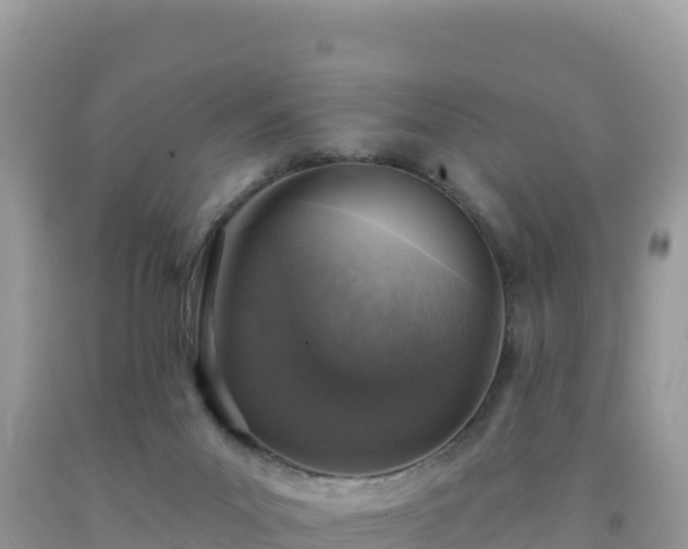 X0000092030023200709131628