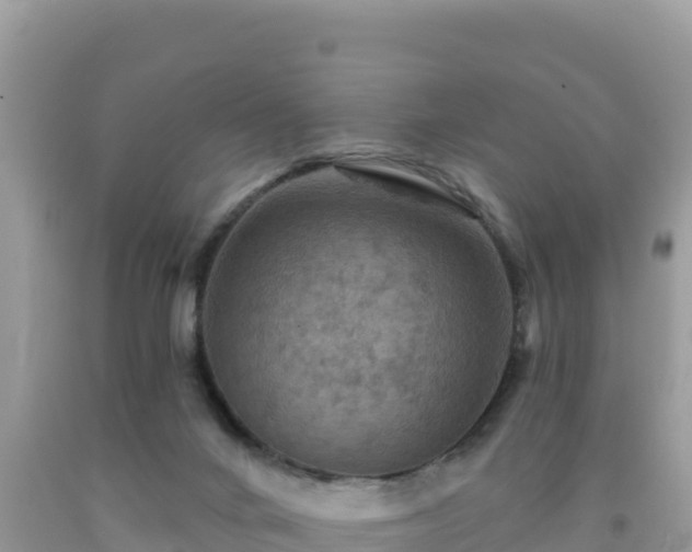 X0000092030024200709131628