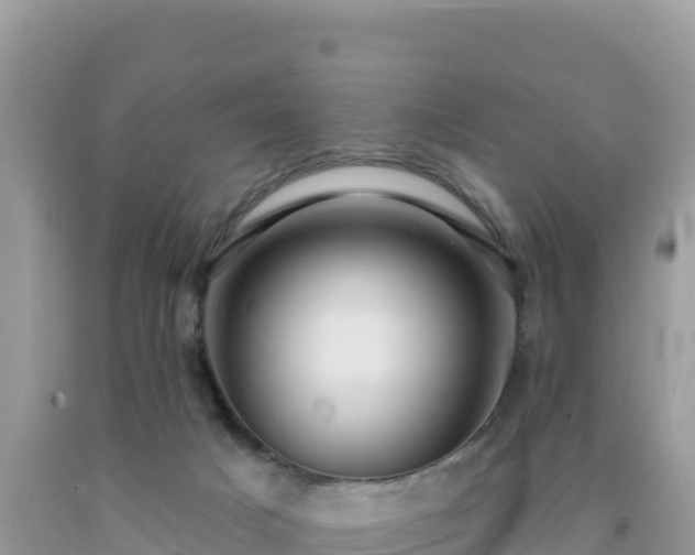 X0000092030025200709131628