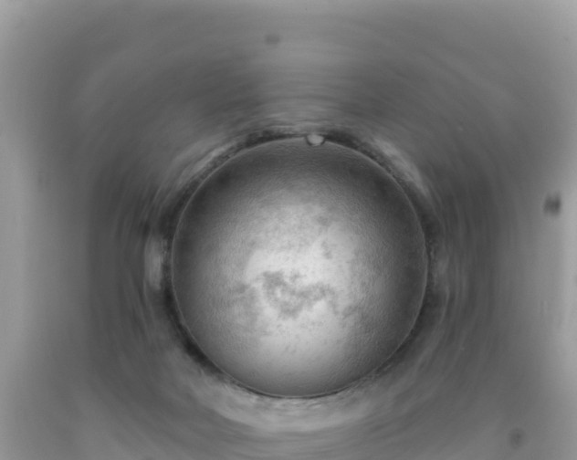 X0000092030026200709131628