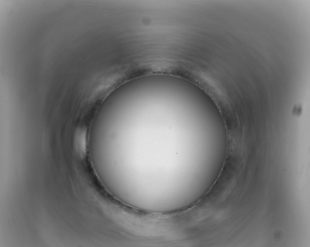 X0000092030028200709131628