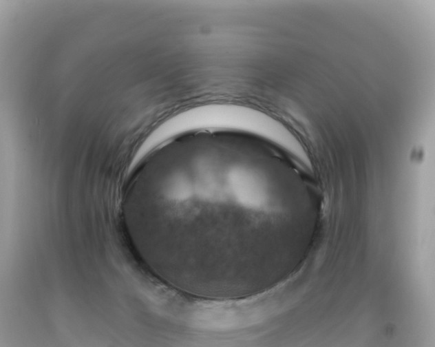 X0000092030029200709131628