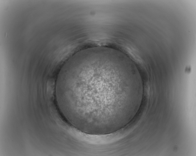 X0000092030030200709131628