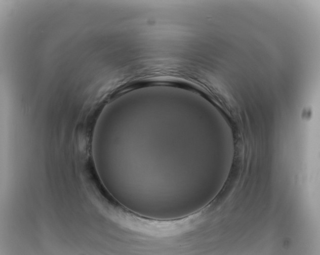 X0000092030031200709131628