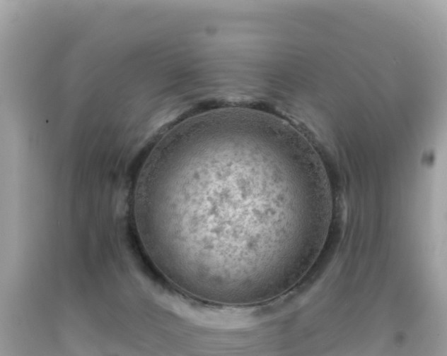 X0000092030032200709131628