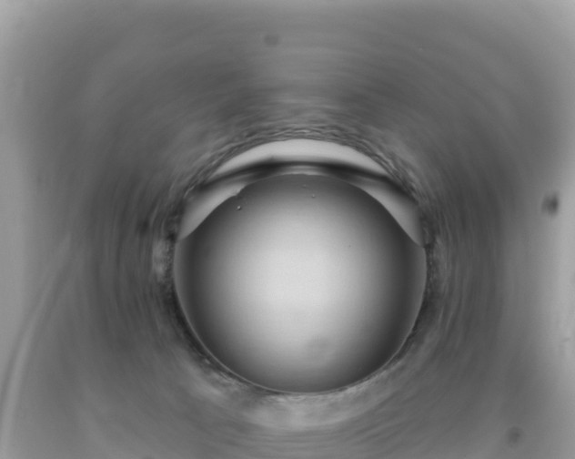 X0000092030033200709131628