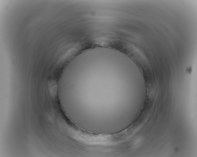 X0000092030036200709131628