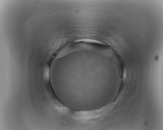 X0000092030041200709131628