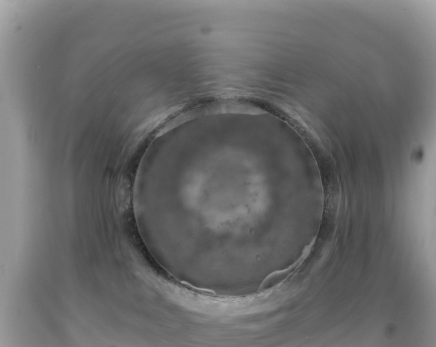 X0000092030043200709131628