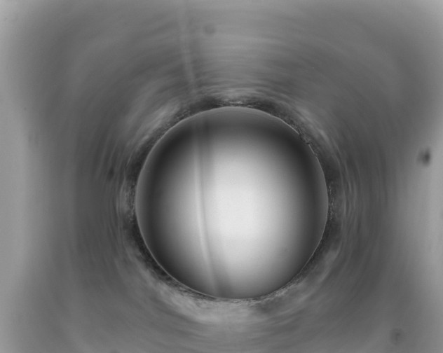 X0000092030044200709131628