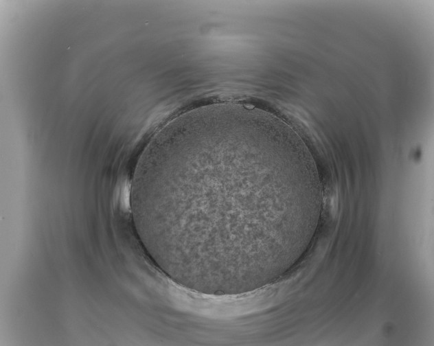 X0000092030046200709131628