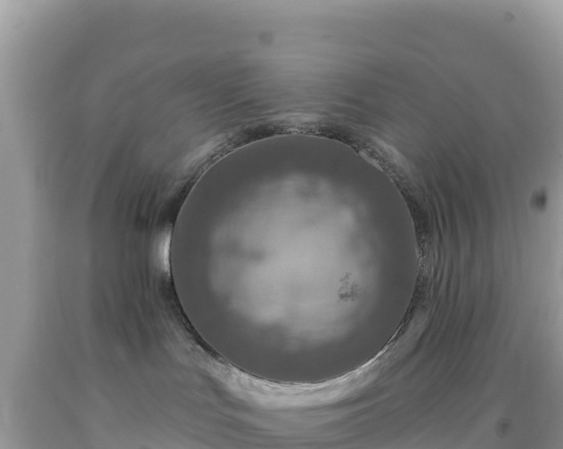 X0000092030047200709131628