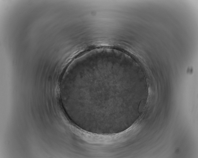 X0000092030048200709131628