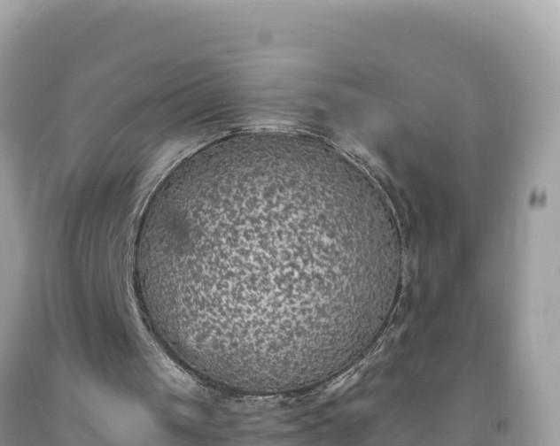 X0000092030049200709131628