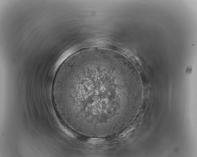 X0000092030051200709131628