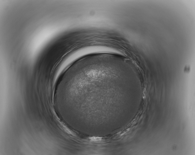 X0000092030052200709131628