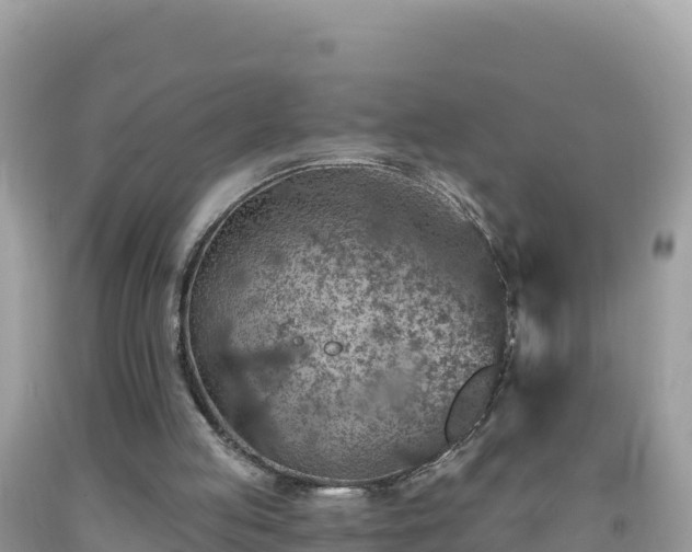 X0000092030053200709131628