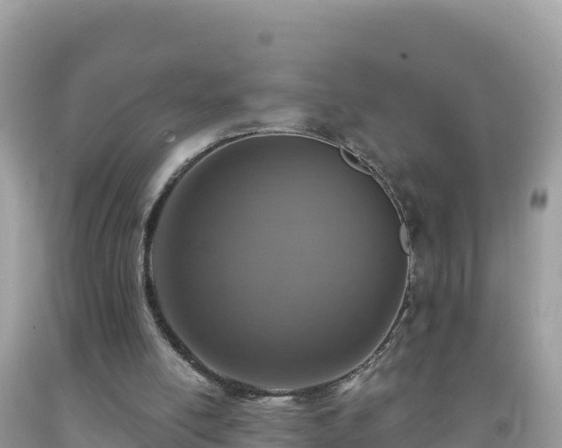 X0000092030054200709131628