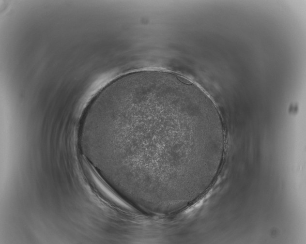 X0000092030055200709131628