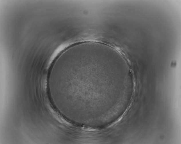 X0000092030056200709131628