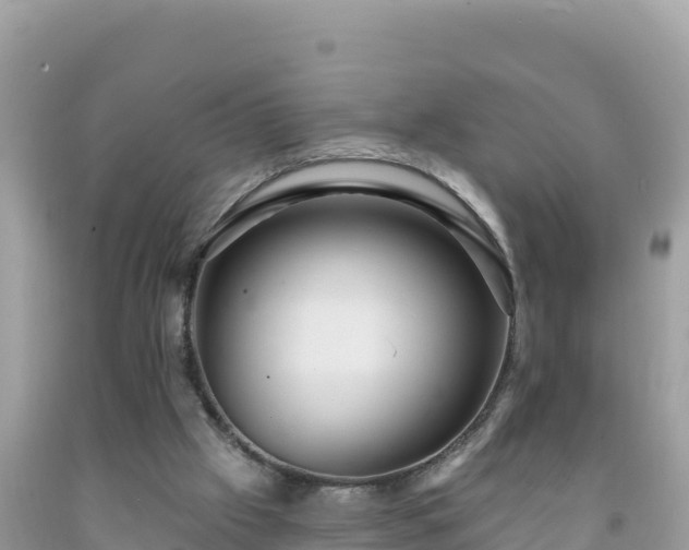 X0000092030057200709131628