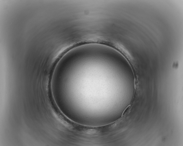 X0000092030058200709131628