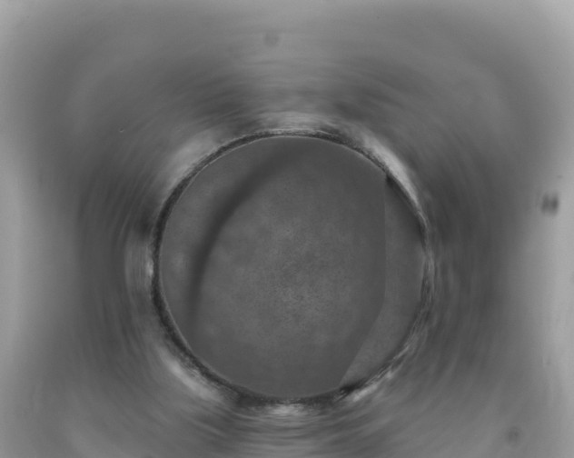 X0000092030059200709131628