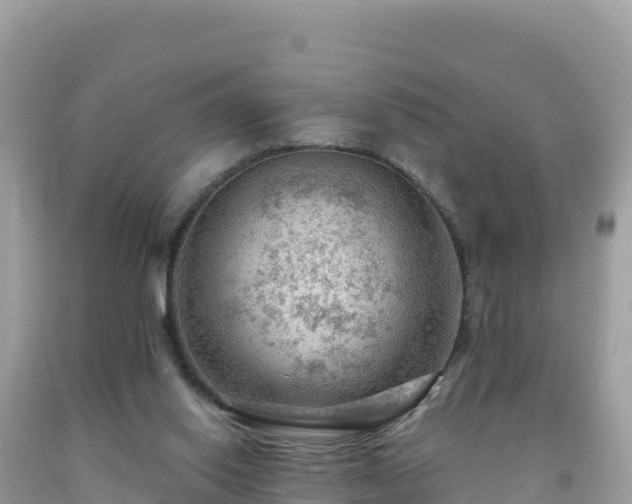 X0000092030062200709131628