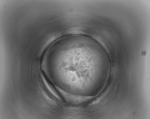 X0000092030063200709131628