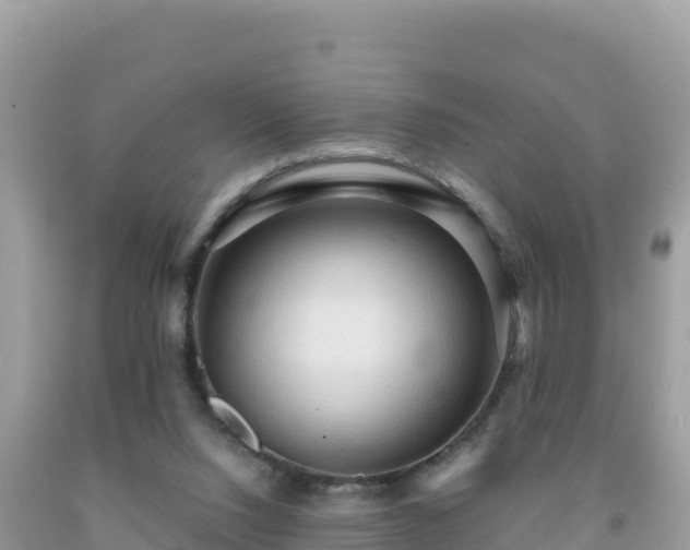 X0000092030064200709131628