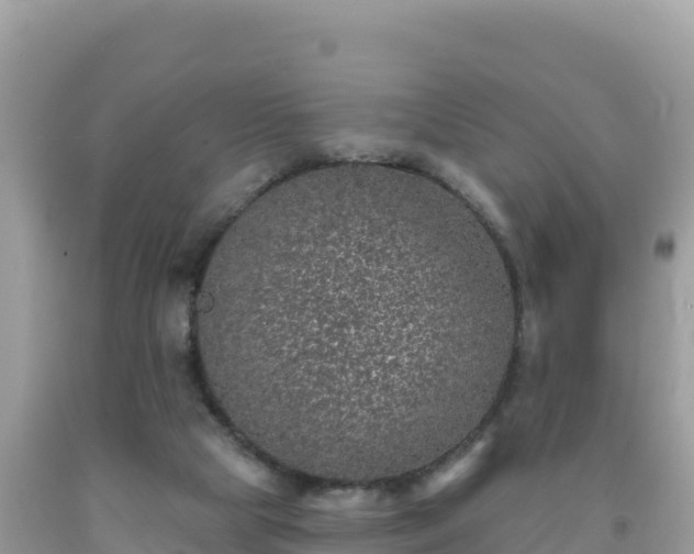 X0000092030065200709131628