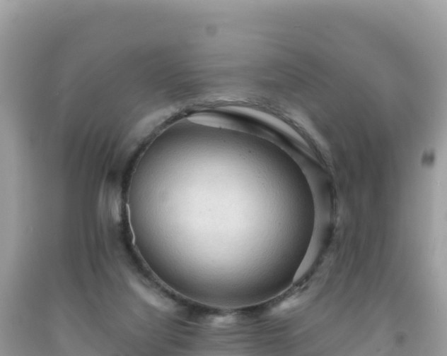 X0000092030068200709131628