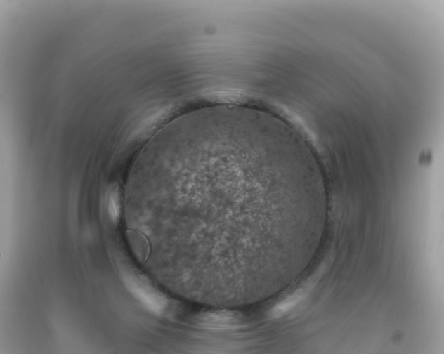 X0000092030069200709131628