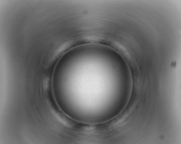 X0000092030071200709131628