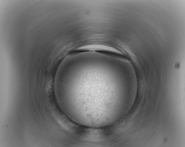 X0000092030073200709131628