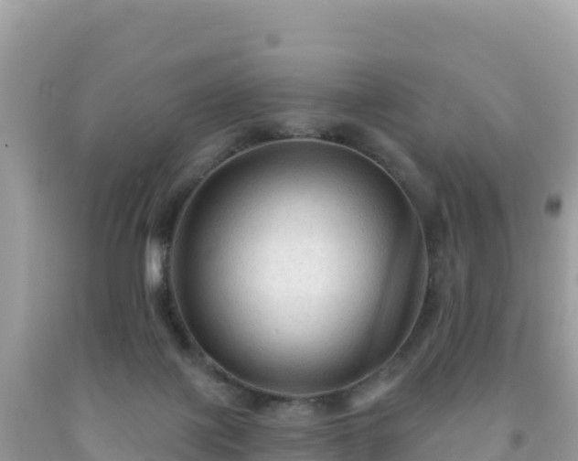 X0000092030075200709131628