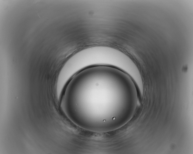 X0000092030076200709131628