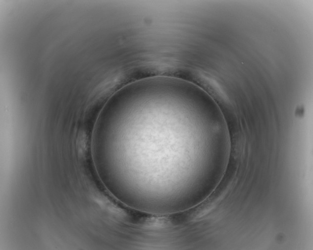 X0000092030077200709131628