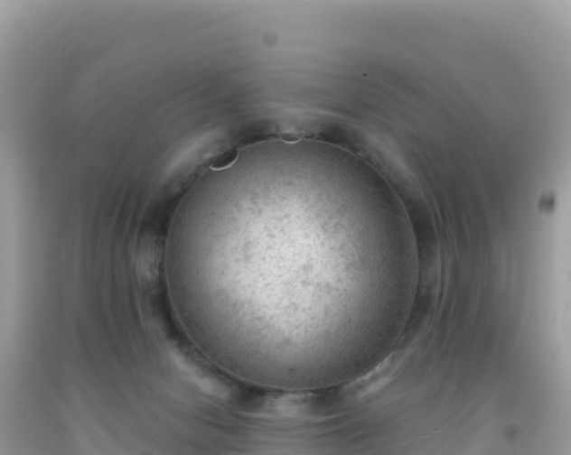 X0000092030078200709131628