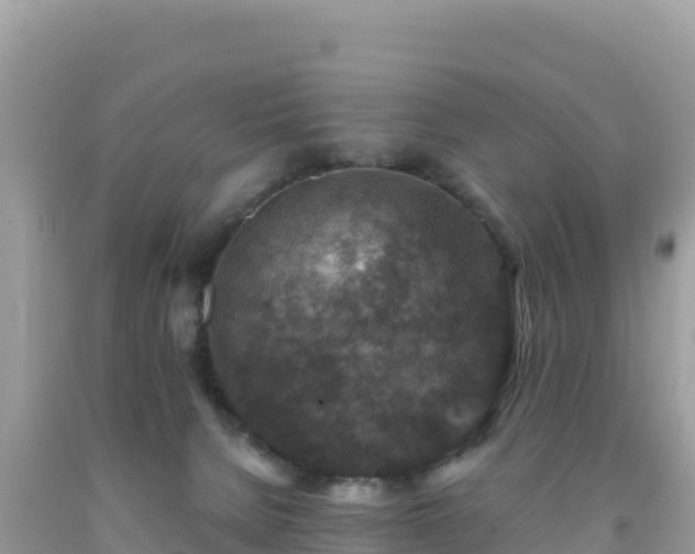 X0000092030080200709131628