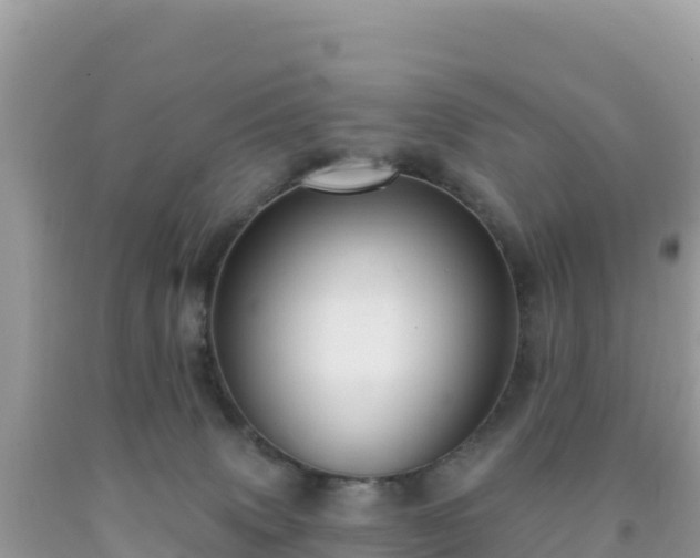 X0000092030083200709131628