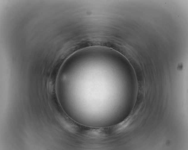 X0000092030086200709131628